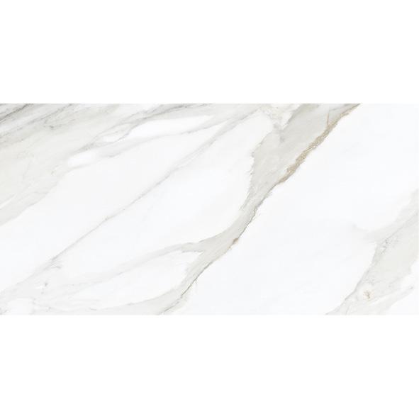 ΒΑΣΗ 60X120 (Bases rectificadas) OUT C3 / IN C1 MONOBLOCK Image