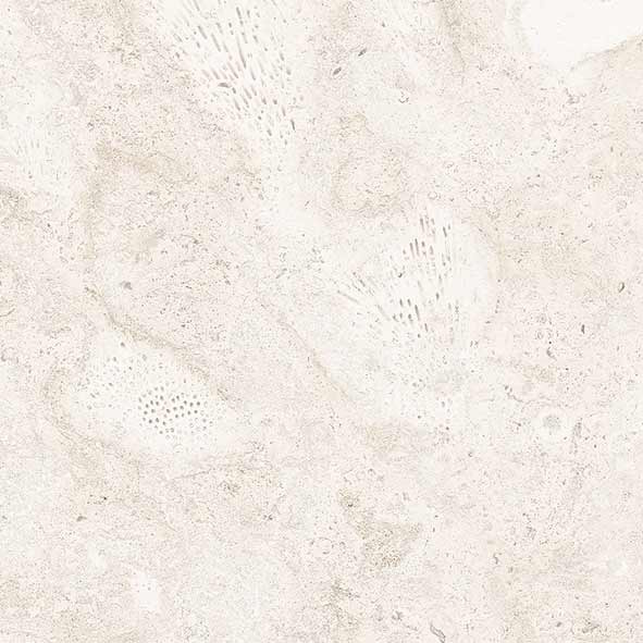 90X90 Image